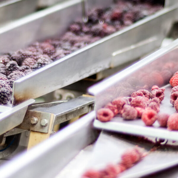 Refrigerazione_industriale-Refrigeration-BeijerRef-Italy